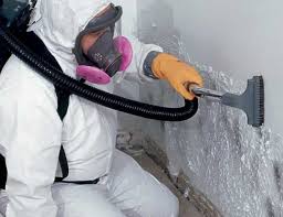 Best Mold Odor Removal Services  in Piney, AR